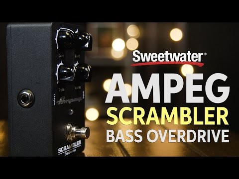 Ampeg Scrambler Bass Overdrive Pedal Demo