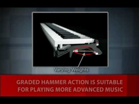 Mastery of Feel - Graded Hammer Action