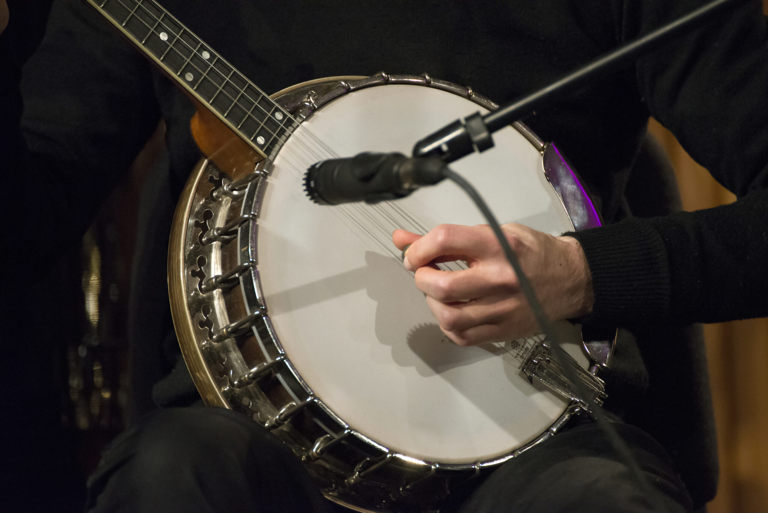 Explore the Rich History and Diverse Styles of Banjos
